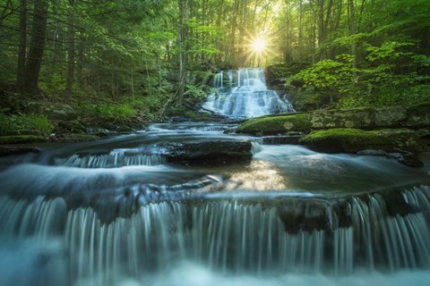 Framed Sublime Print