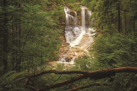 Framed Hidden Treasure Print