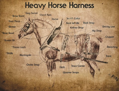 Framed Heavy Horse Harness Print