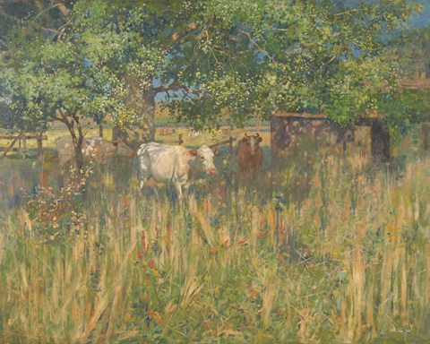 Framed Field Cows Print