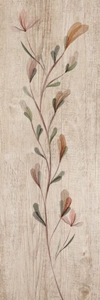 Framed Calm Thriving Beauties Print