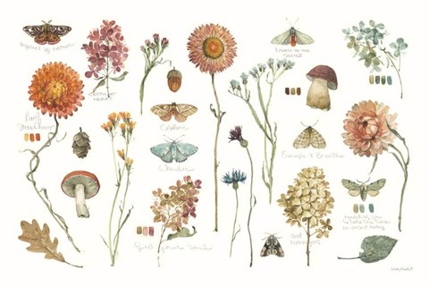 Framed Season's Study III Print