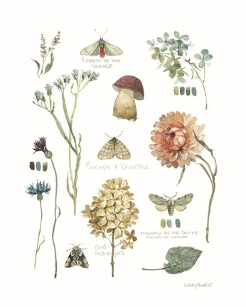 Framed Season's Study IV Print