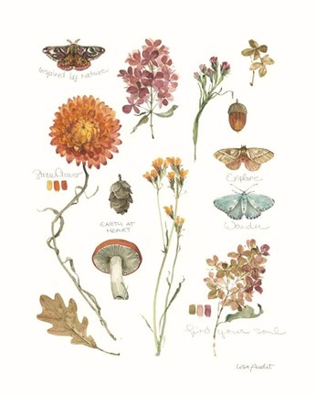 Framed Season's Study V Print