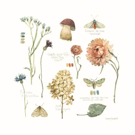 Framed Season's Study VI Print