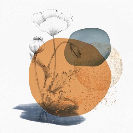 Framed Abstract Flower Composition Print