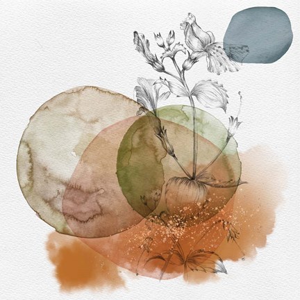 Framed Flower and Watercolor Circles I Print