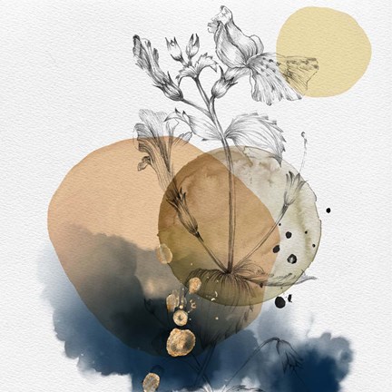 Framed Flower and Watercolor Circles III Print