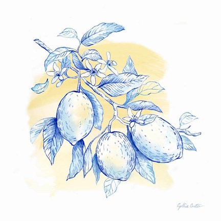 Framed Mediterranean Breezes IV Print