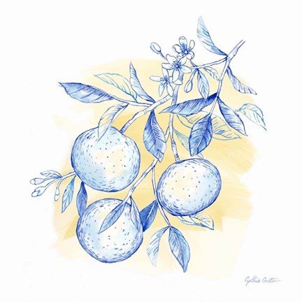 Framed Mediterranean Breezes V Print