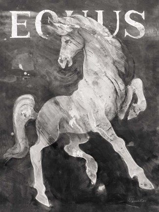 Framed Equus Stallion BW Print