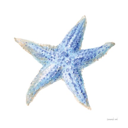 Framed Undersea Starfish Print