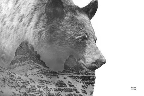 Framed Mountain Bear Print