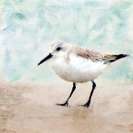 Framed Sandpiper Walk 2 Print