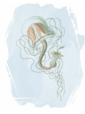 Framed Driftwood Calm 2 Print