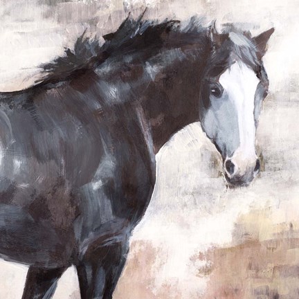 Framed Onlooker Print