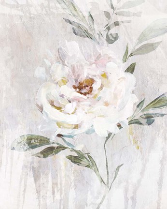 Framed Abstract Peony II Print