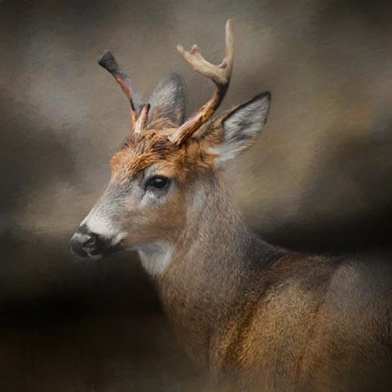 Framed Forest Spirit Print