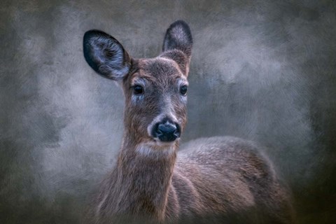 Framed Wild Beauty Print