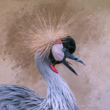 Framed Crowned Print