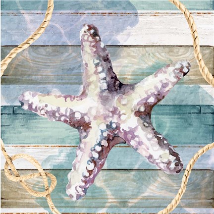 Framed Starfish Print