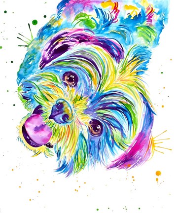 Framed Louie the Colorful Shitzhu Print