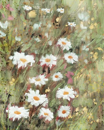 Framed Daisy Field II Print