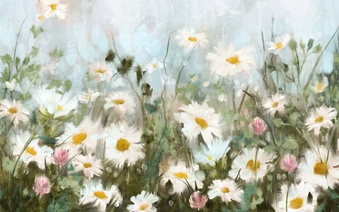Framed Field of Daisies Print