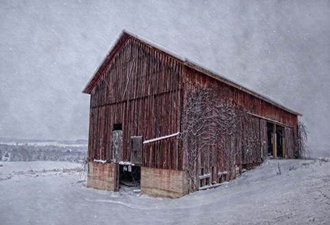 Framed Rustic Red Print