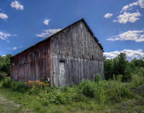 Framed Country Lilies Print