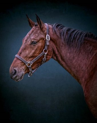 Framed Wild Soul Print