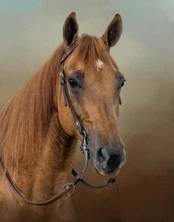 Framed Golden Splendor Print