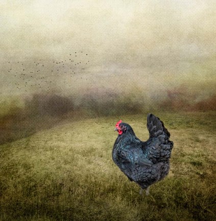 Framed Early Morning Riser Print