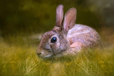 Framed Grassy Bed Print