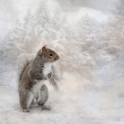 Framed Braving the Cold Print