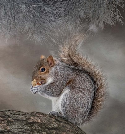 Framed Bright Eyed and Bushy Tailed Print