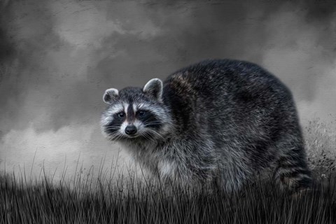 Framed Little Rascal Print