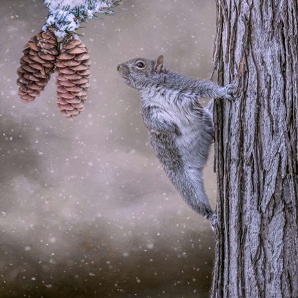 Framed Eye on the Prize Print