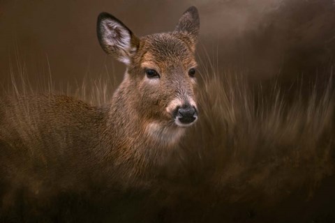 Framed Encounter Print