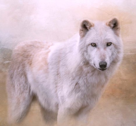 Framed Wolf Quest Print