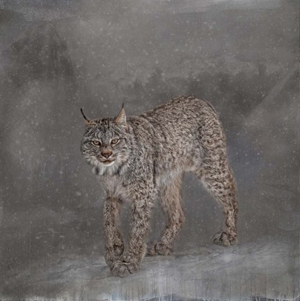 Framed Ghost Cat Print