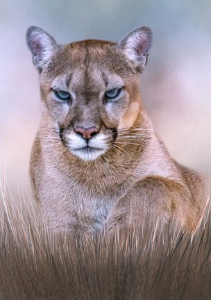 Framed Hypnotist Print