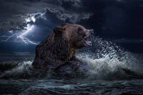 Framed Lightning Warrior Print