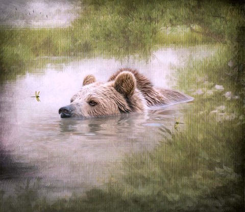 Framed Bearly Swimming Print