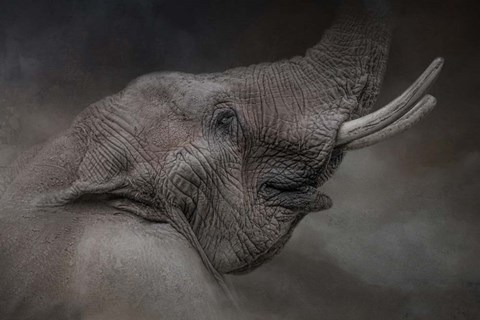 Framed Rising Above Print