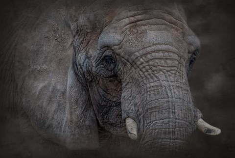 Framed Textured Print