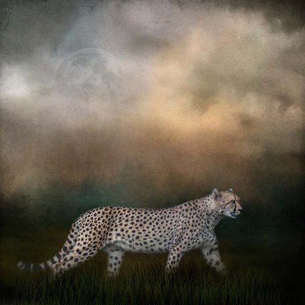 Framed Night Search Print