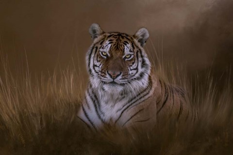 Framed In the Depth of Your Eyes Print