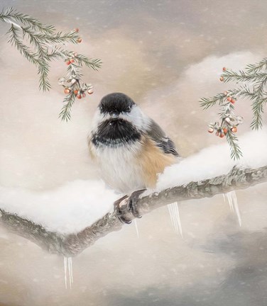 Framed Chilly Chickadee Print