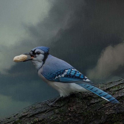 Framed Rainy Day Snack Print